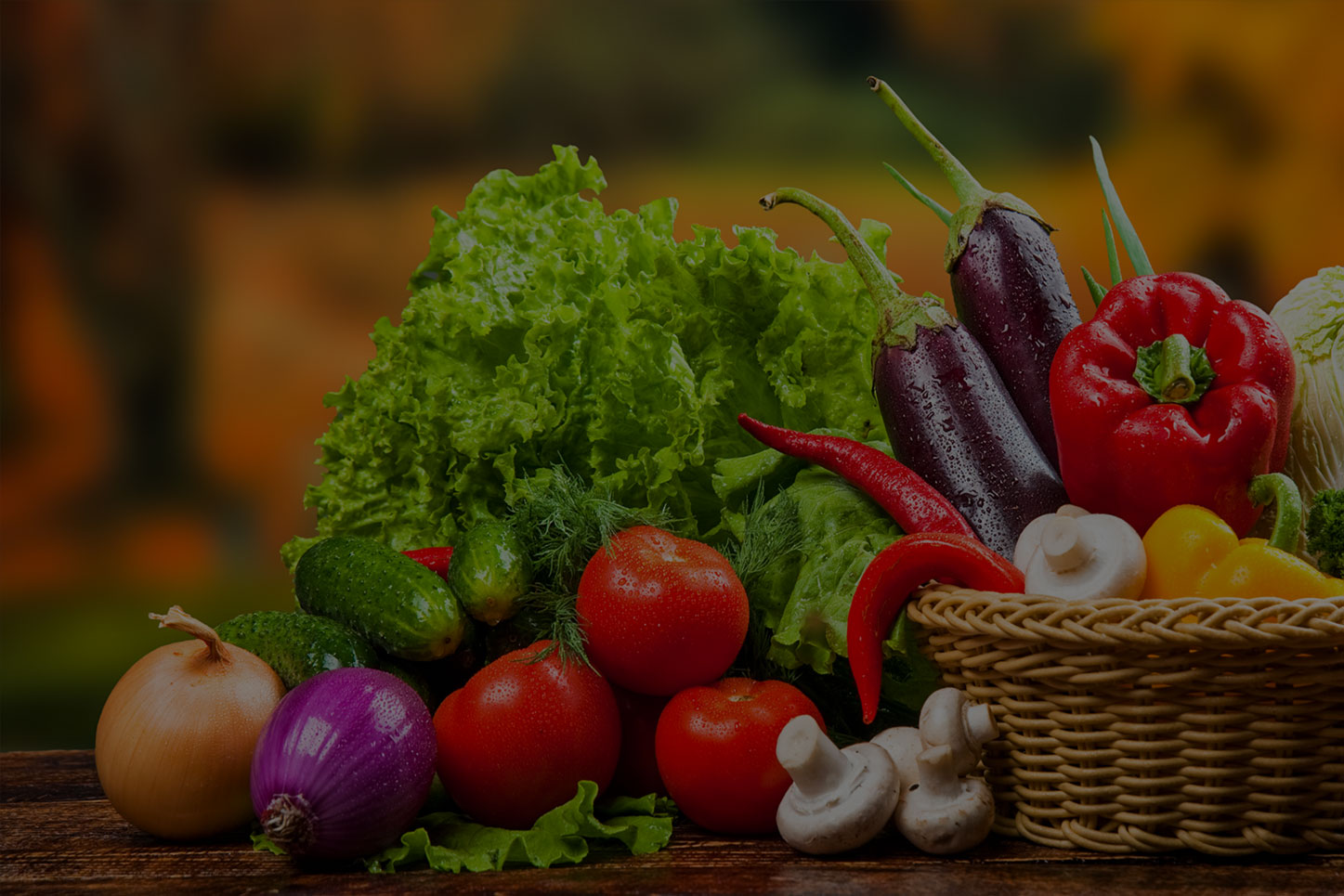 海藻、魚蛋白系列