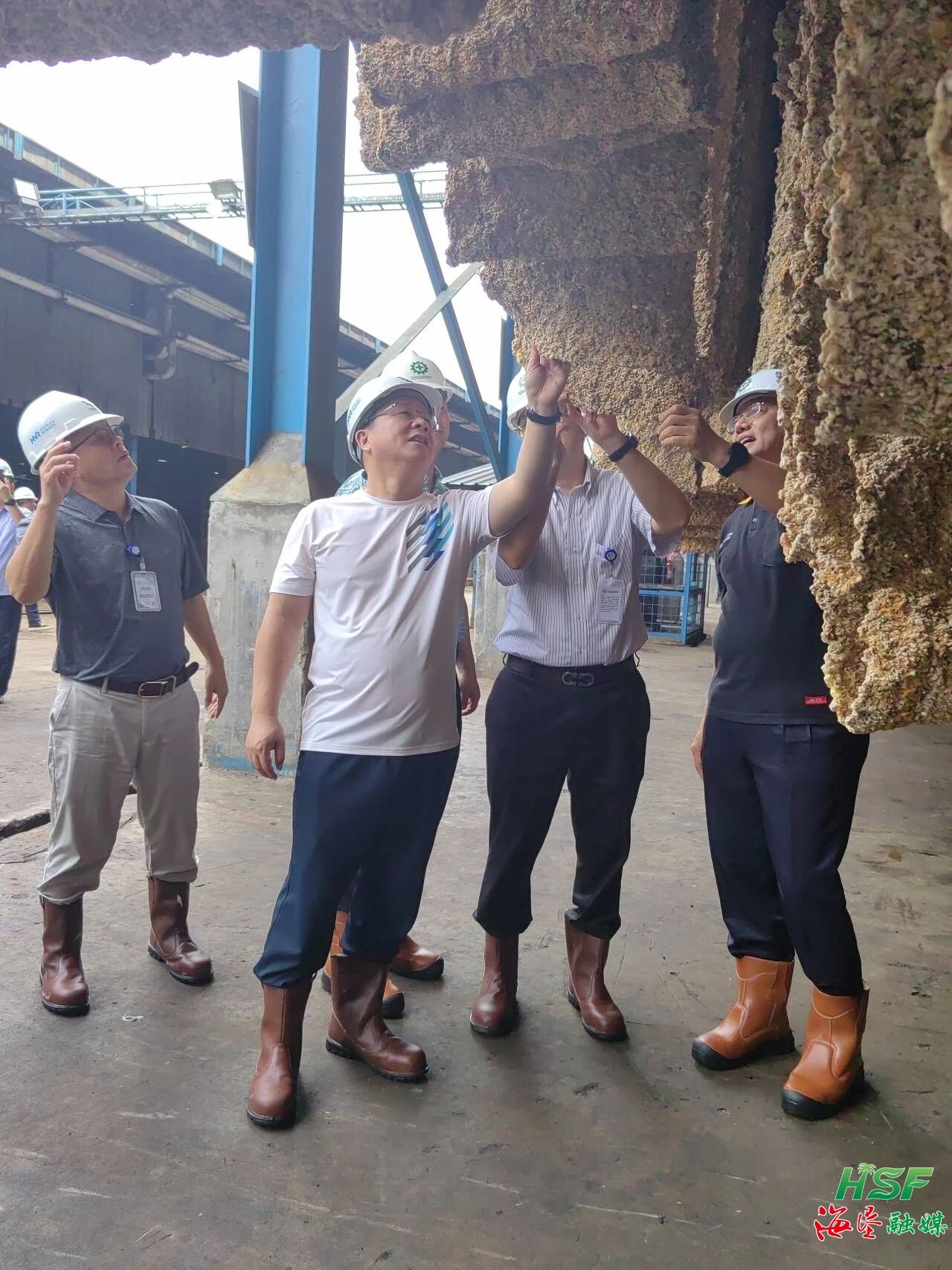 包洪文一行調(diào)研合盛農(nóng)業(yè)SGO加工廠。